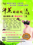 汗蒸传单  背面