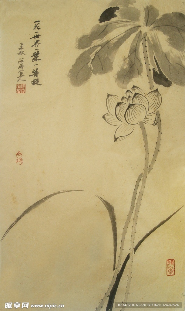 一花一世界图