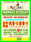 李二鲜鱼村