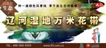 万亩花海