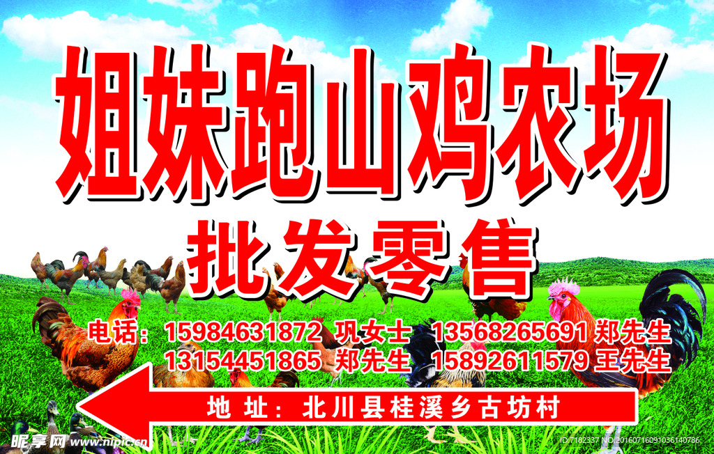 姐妹跑山鸡