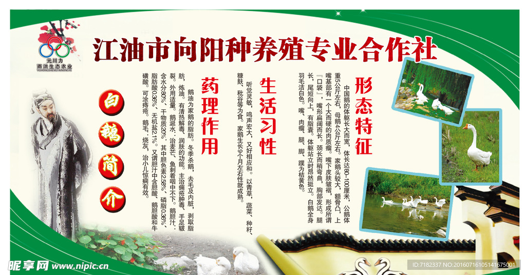 养殖合作社