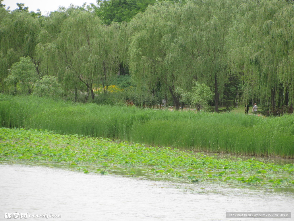 南海子风景