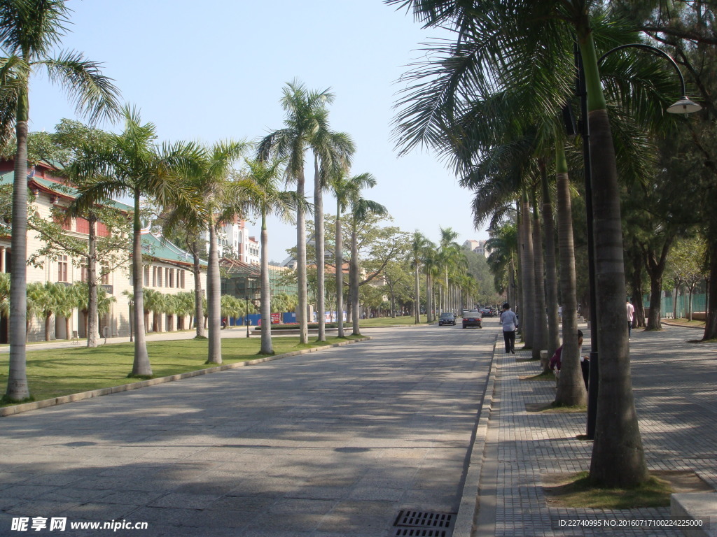 校园风光 厦门大学