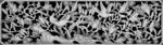 玉兰花花鸟镂空浮雕灰度图