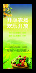 果园 农场 水果