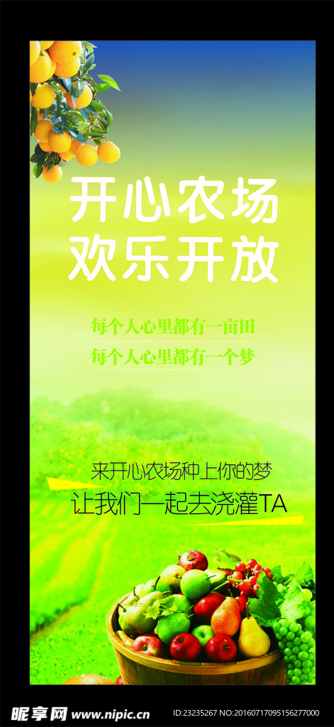 果园 农场 水果