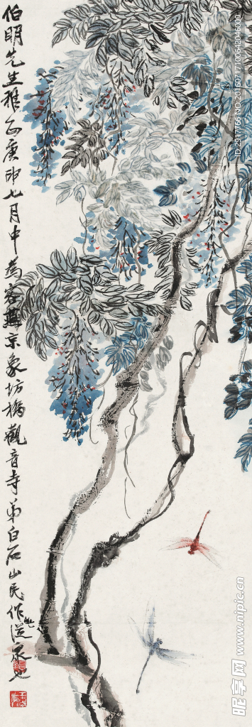 藤花图片