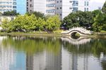 石桥