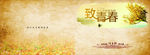 致青春
