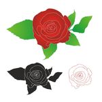 玫瑰花