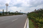公路绿化