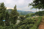 兴义马岭河大桥