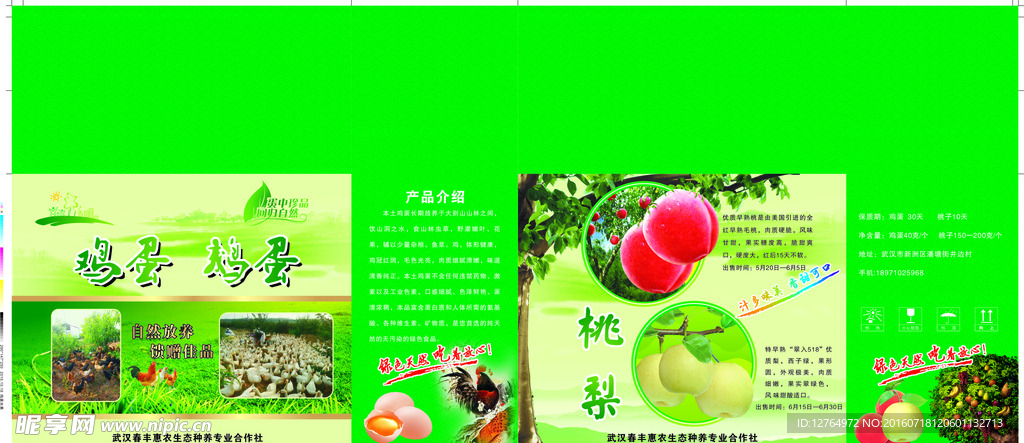 鸡蛋水果包装