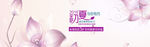 小清新矢量图