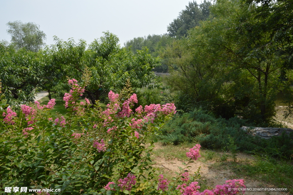 植物园风景