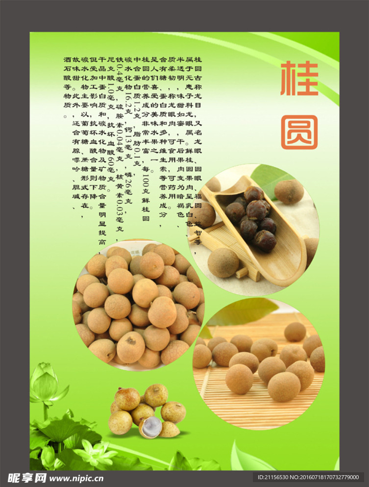 桂圆海报