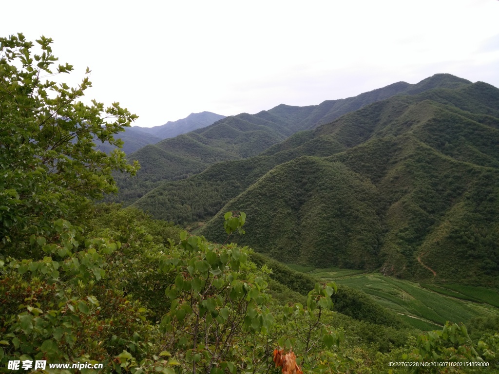 我在此处观远山