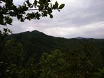 翠绿山景