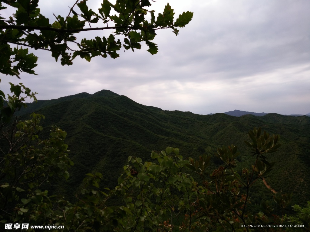 翠绿山景