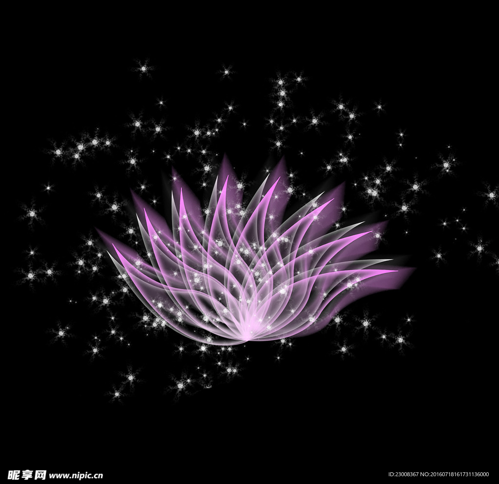 莲花
