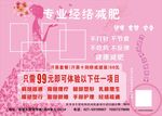 经络减肥养生美容海报