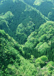 山谷