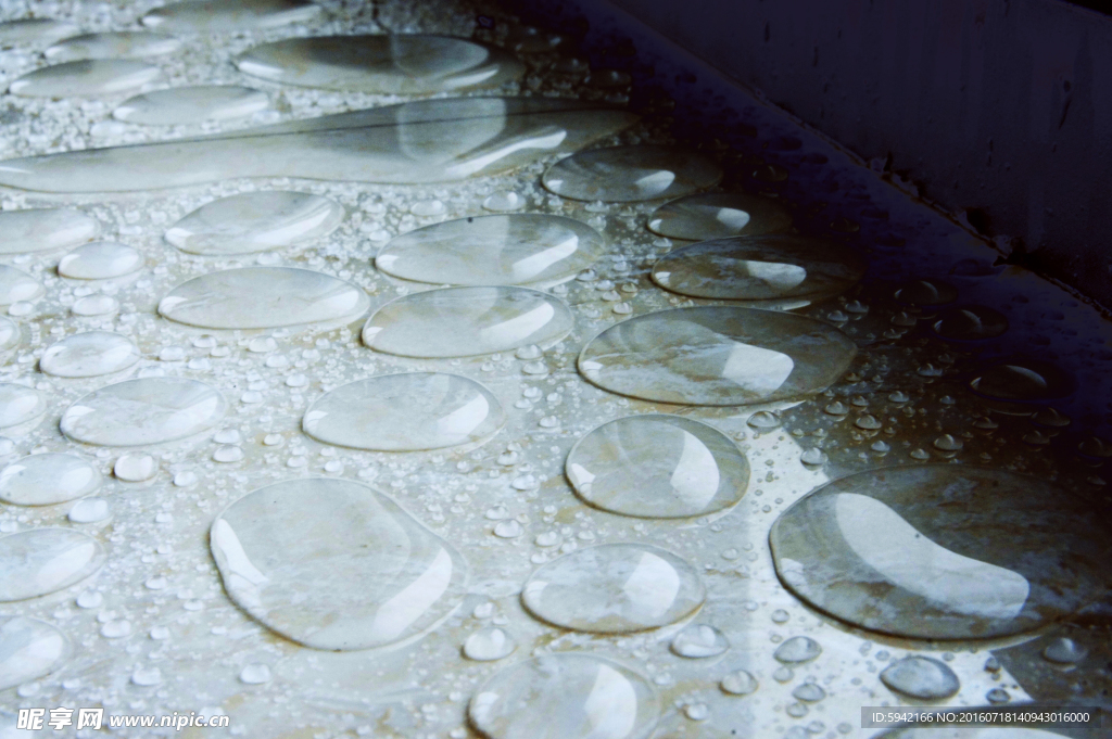 雨水 水珠