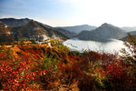 三峡秋景