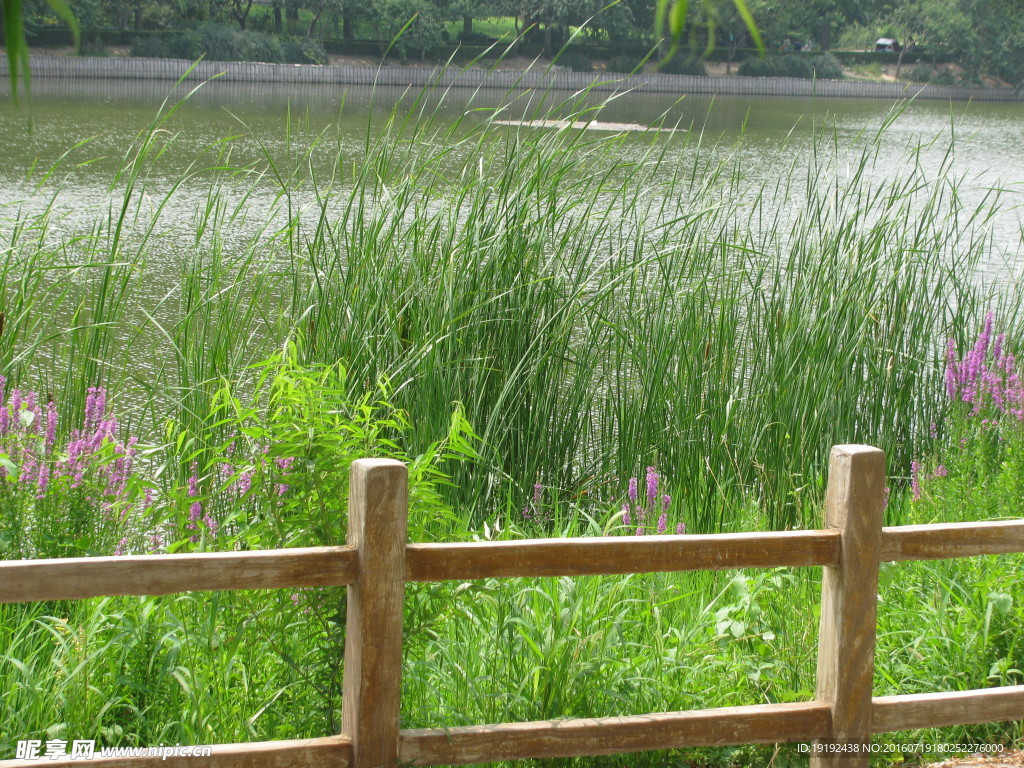 植物园风景