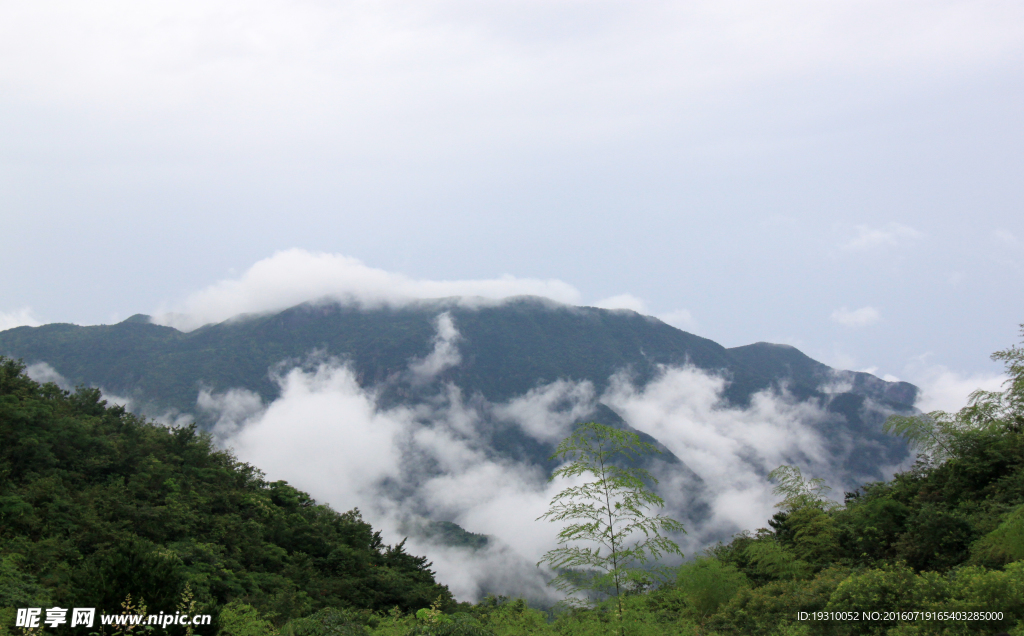 藏龙百瀑山谷