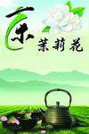 茉莉花