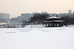 曲江池雪景