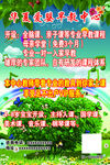 婴儿早教