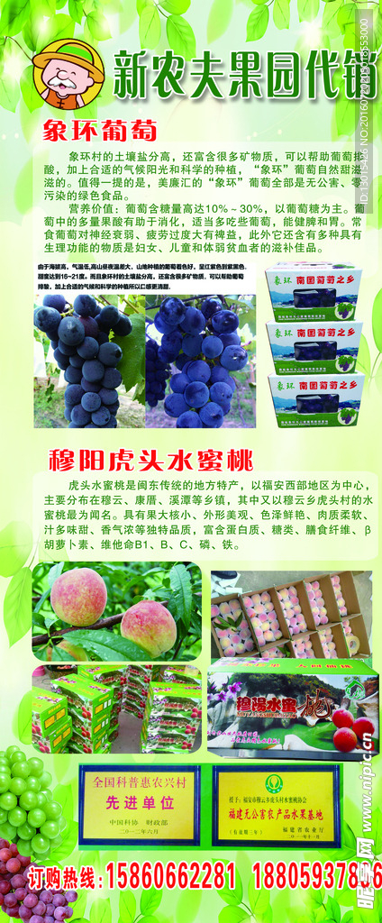 葡萄展架
