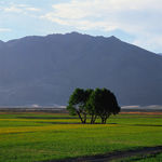 远山