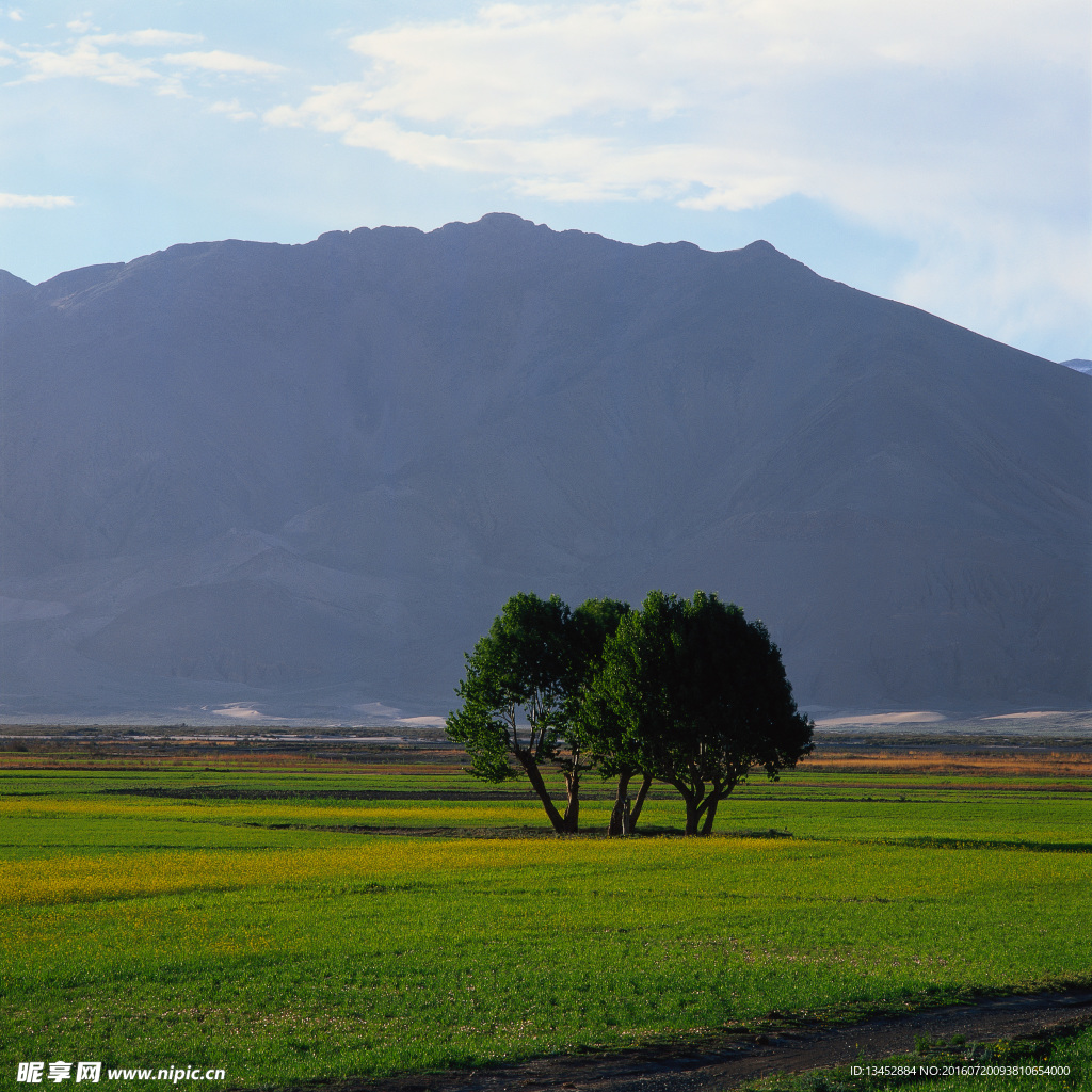 远山