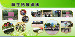 学校课外活动展板海报