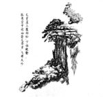 庐山手绘庐山松