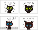 black  cat  黑猫