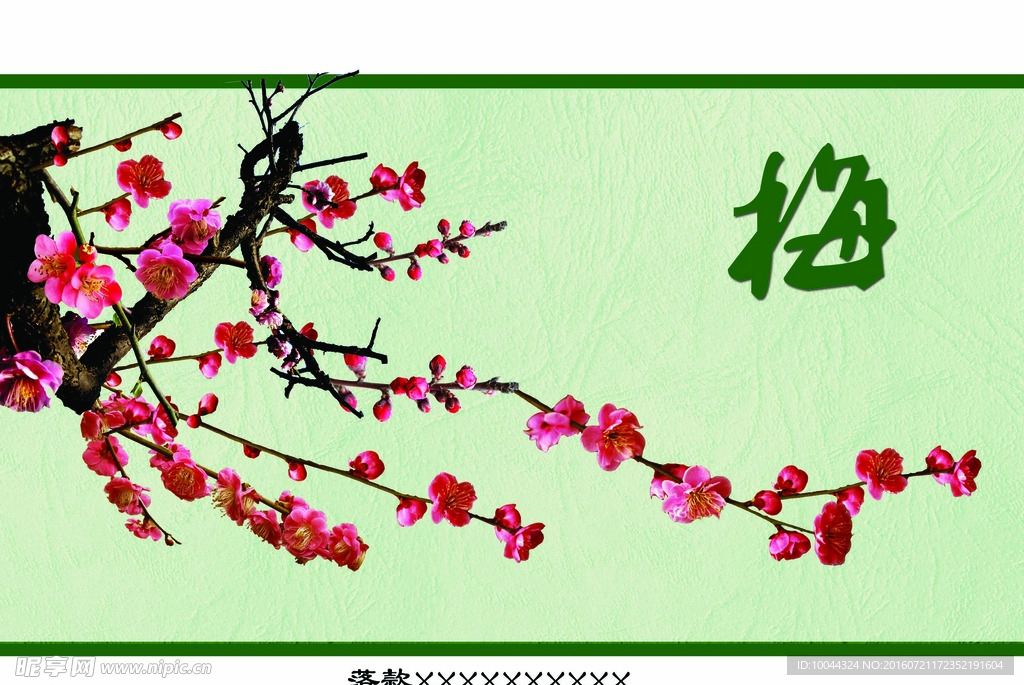 卡片-梅