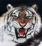 国画 老虎