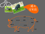 猪肉分割图
