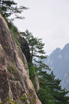 高山景观