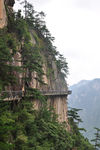 高山景观