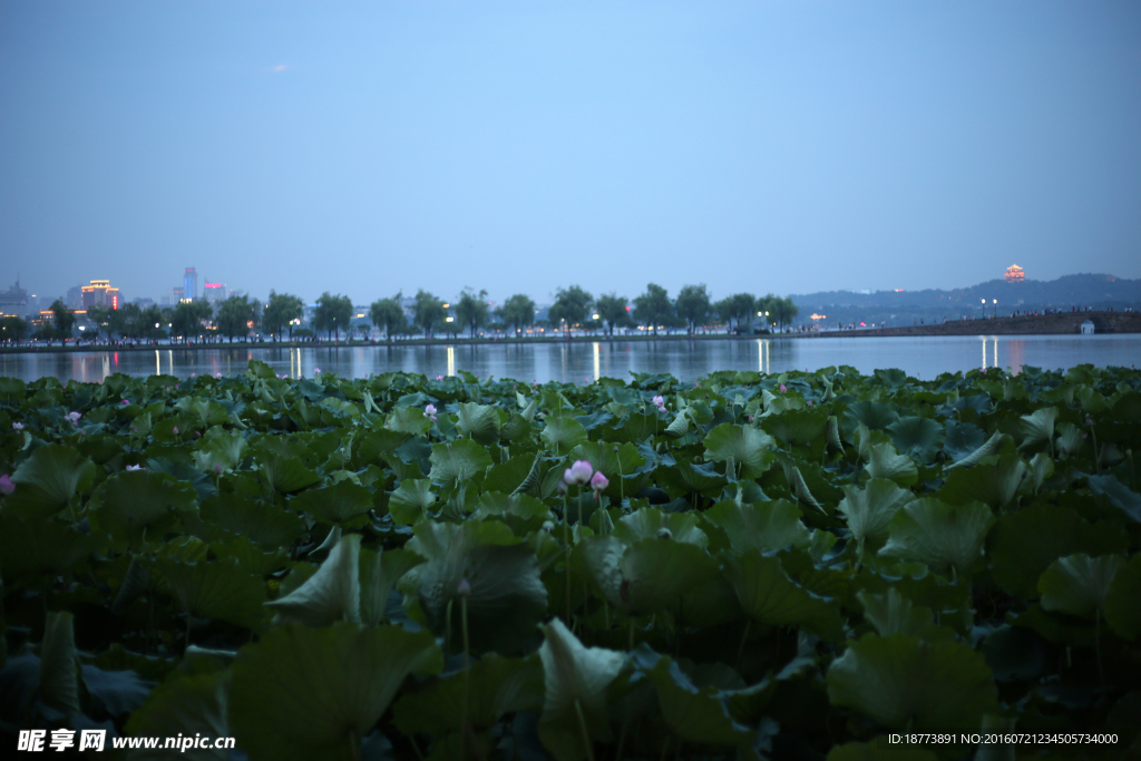 西湖夜景