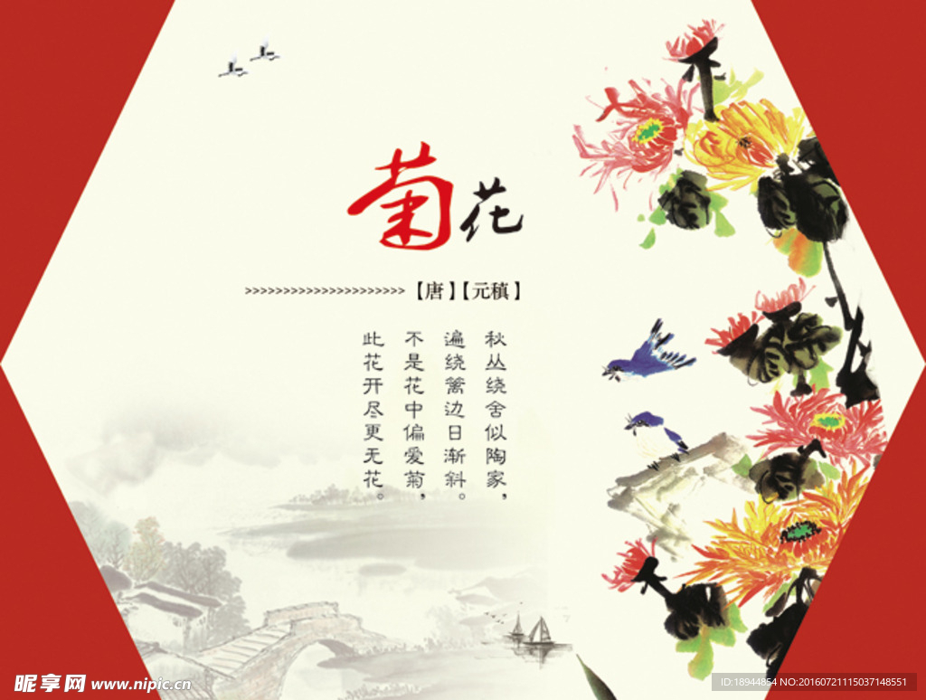 菊花