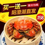 阳澄湖大闸蟹 直通车