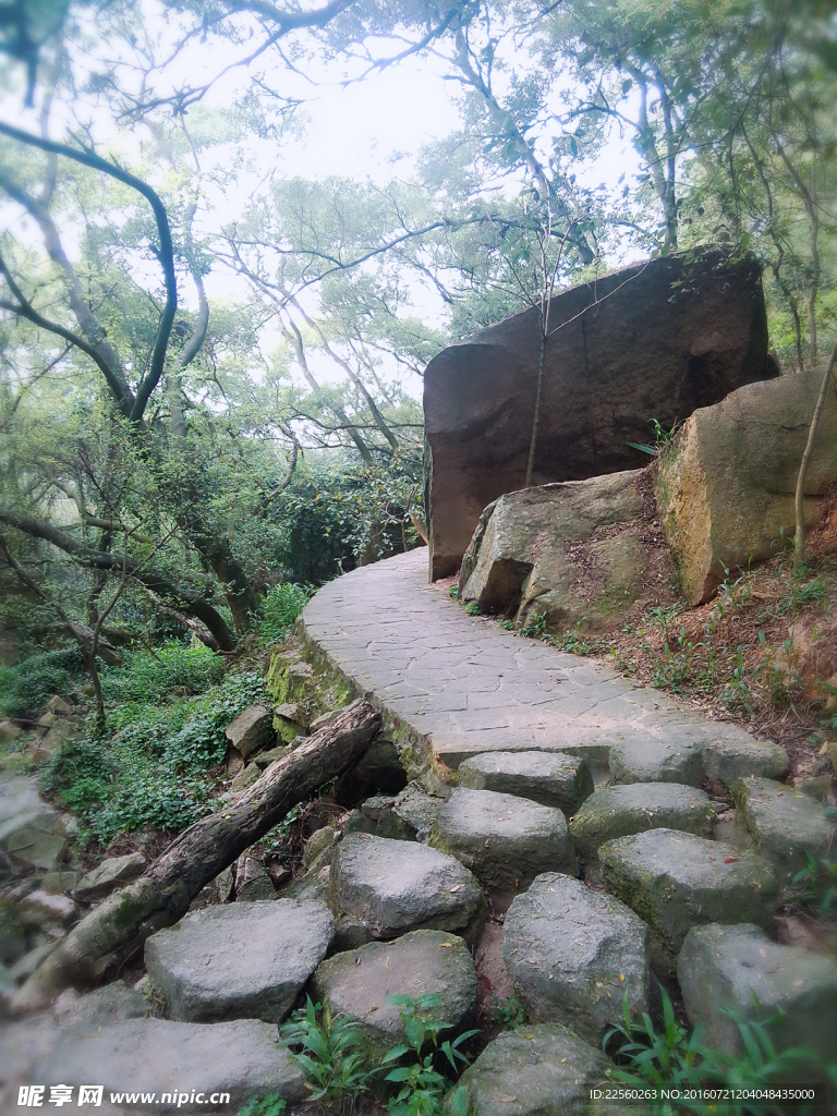 植物园小路
