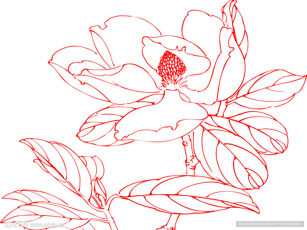 花韵